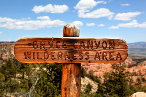 istock Trail Marker Sign in Bryce Canyon National Park 905010530