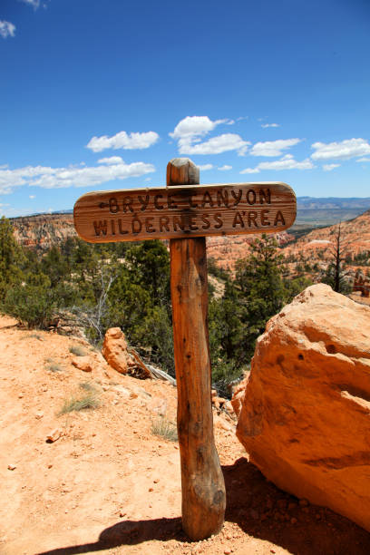 istock Trail Marker Sign in Bryce Canyon National Park 905010536