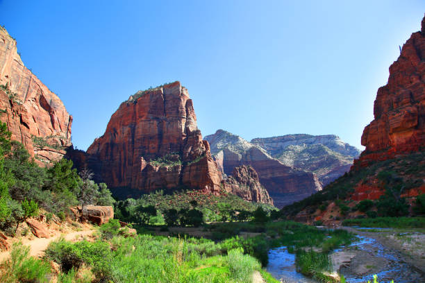 istock Canyon Overlook view in Zion National Park 905010614
