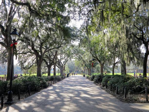 istock Savannah Georgia Sights to See 905011900