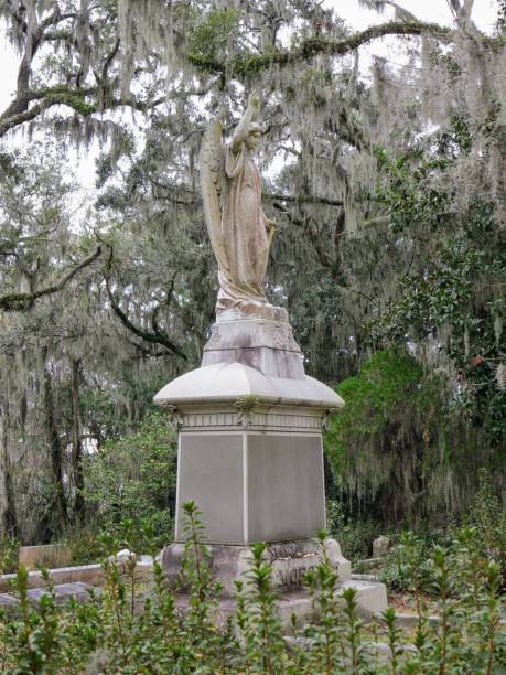 istock Savannah Georgia Sights to See 905011920