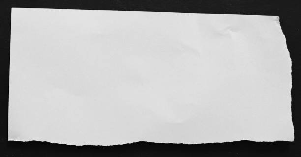 istock pieces of torn paper 905019418