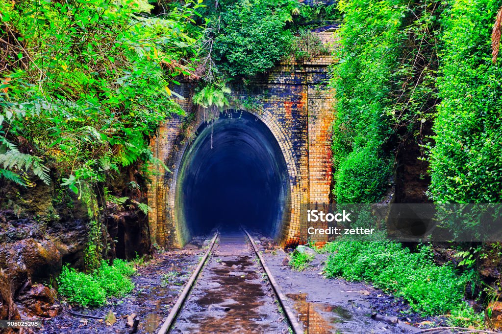 Tunnel Portal Entrance Historic railway tunnel deep into mountain surrounded by lush vegetation of rain forest in NSW. Entrace of single railway trail and brick laid portal. Tunnel Stock Photo