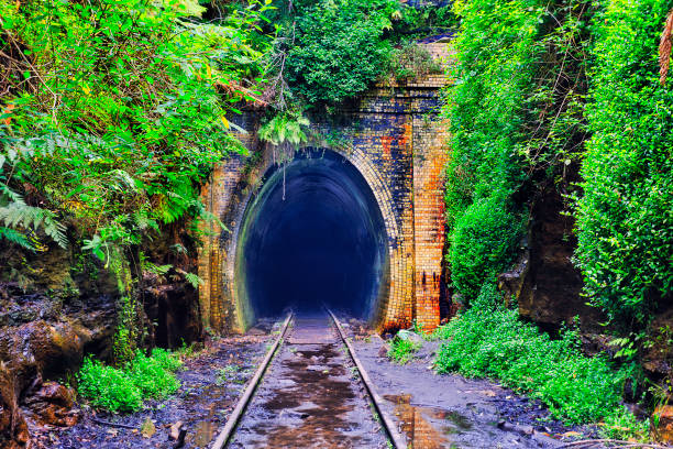 Tunnel Portal Entrance Historic railway tunnel deep into mountain surrounded by lush vegetation of rain forest in NSW. Entrace of single railway trail and brick laid portal. glowworm photos stock pictures, royalty-free photos & images