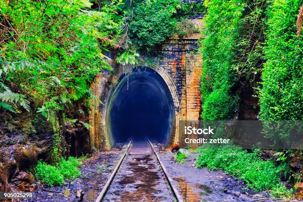 Tunnel Portal Entrance Stock Photo - Download Image Now - Tunnel, Glowworm, Australia