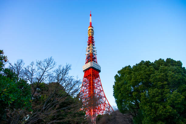 istock Tokyo Tower in Tokyo, Japan 905027636