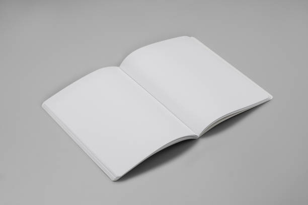istock Mock-up magazines, book or catalog on gray table background. 905028500