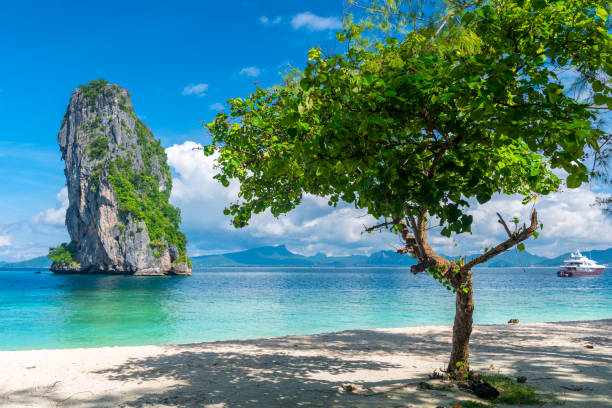 vue de poda island sur un beau rocher et l’arbre par une journée ensoleillée, thaïlande - beautiful tree day rock photos et images de collection