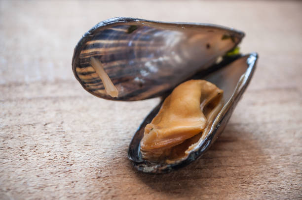 istock mussel on wooden background 905034846