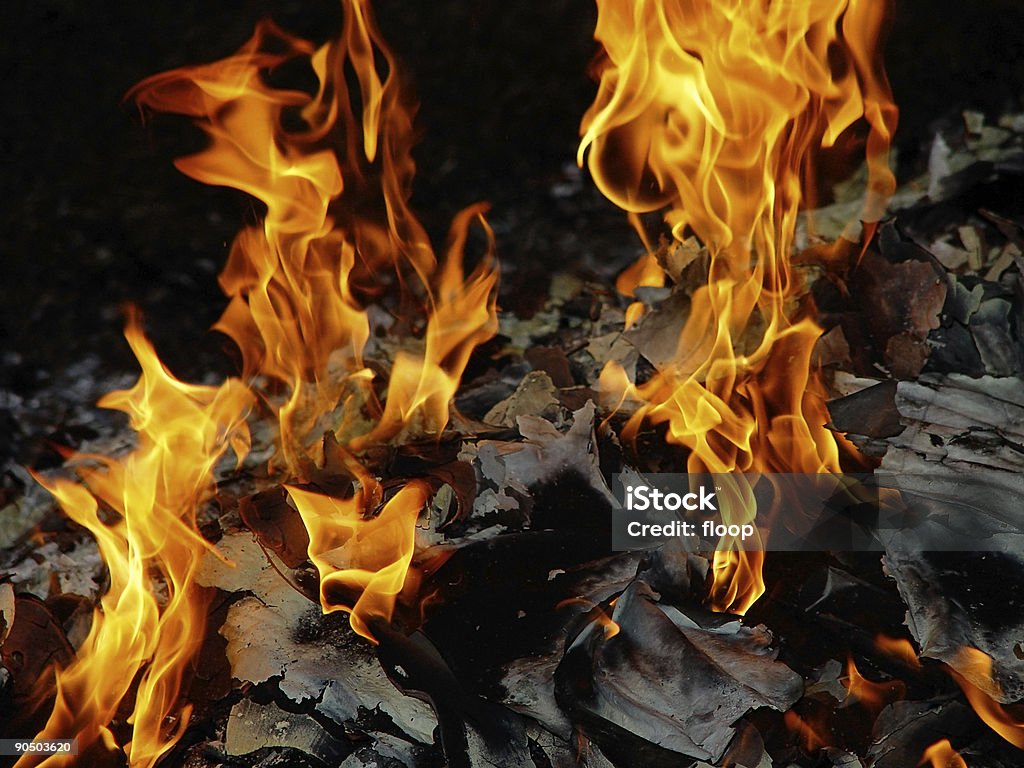 plumes di fuoco - Foto stock royalty-free di Arancione