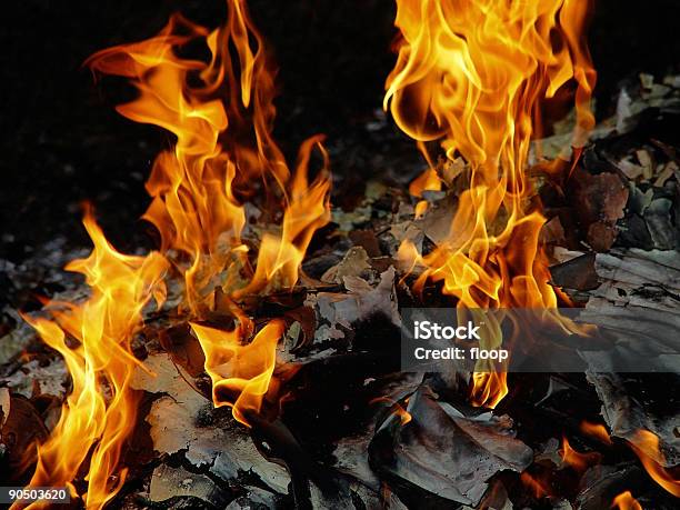 Plumes Pożaru - zdjęcia stockowe i więcej obrazów Barbecue - Barbecue, Bez ludzi, Biwakować