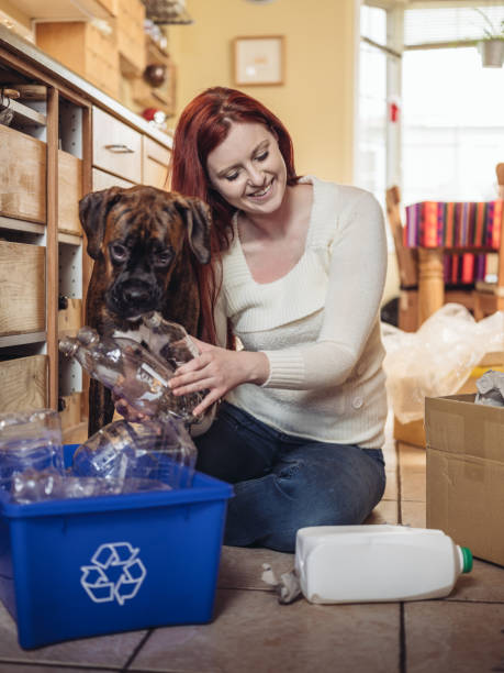 istock Recycling in Daily Life 905038948