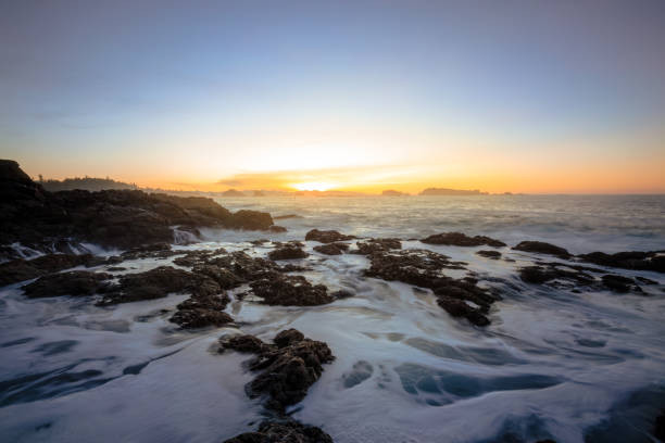 istock Tofino, Vancouver Island 905045308