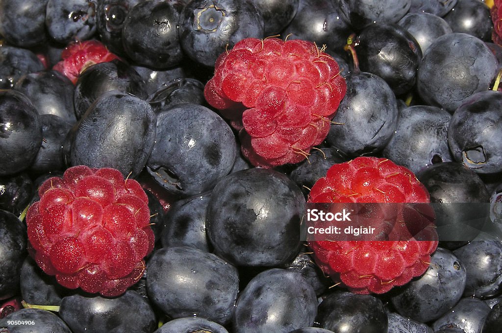 Raspberry & Blueberry  Alertness Stock Photo