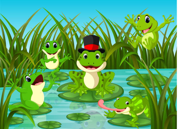 잎 강 현장에 많은 개구리 - frog jumping pond water lily stock illustrations