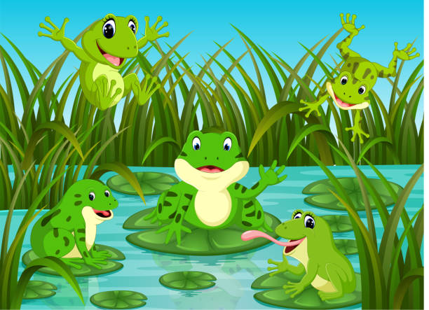 viele frösche auf blatt mit fluss-szene - frog jumping pond water lily stock-grafiken, -clipart, -cartoons und -symbole