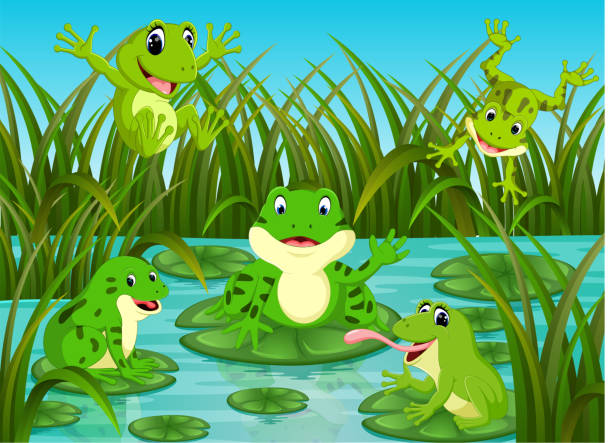 잎 강 현장에 많은 개구리 - frog jumping pond water lily stock illustrations