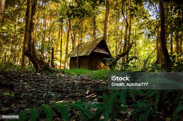 Pequeña Casa En El Bosque Foto de stock y más banco de imágenes de 2015 - 2015, Aire libre, Boscaje