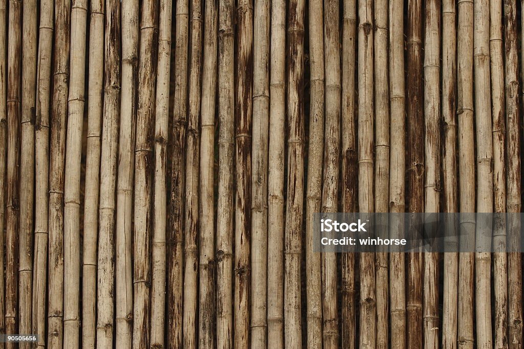 Textura de bambú - Foto de stock de Bambú - Material libre de derechos