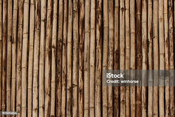 Textura De Bambú Foto de stock y más banco de imágenes de Bambú - Material - Bambú - Material, Color - Tipo de imagen, Con textura
