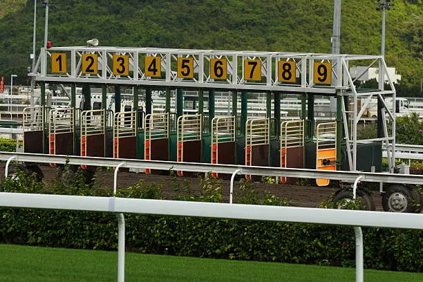 The Starting Gate The Starting Gate