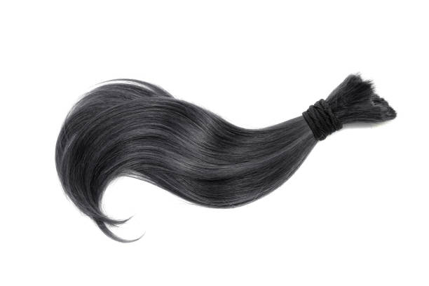 istock Black natural hair on white background 905065172