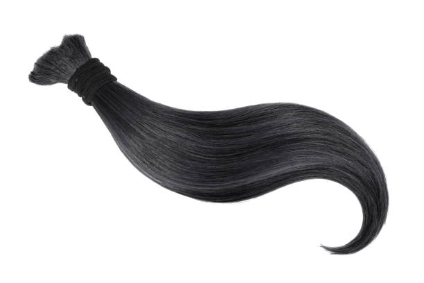 istock Black natural hair on white background 905065176