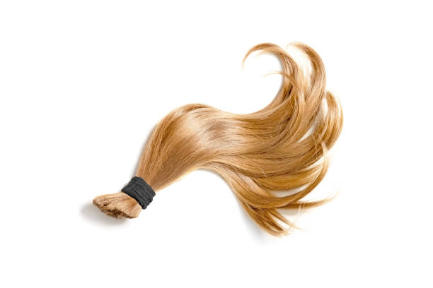 Blond Hair On White Background Stock Photo - Download Image Now - Ponytail,  White Background, Blond Hair - iStock