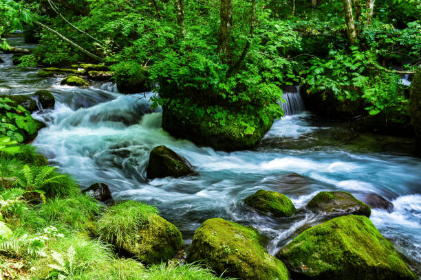 istock View of mountain stream 905068428