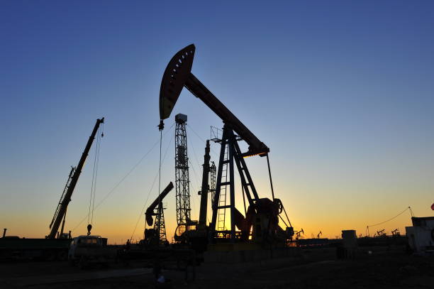 istock The oil pump 905068446