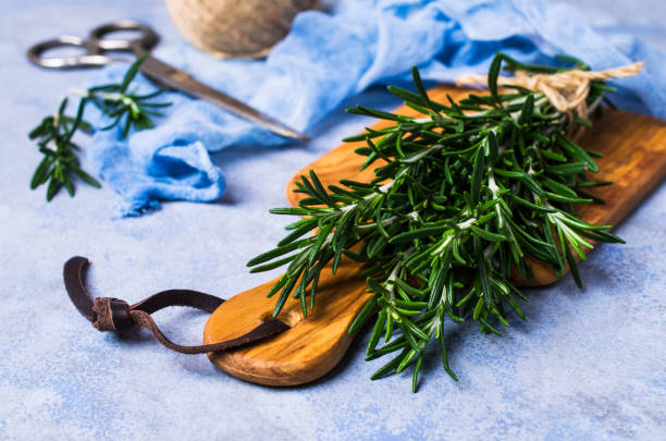 istock Branches of raw rosemary 905068710