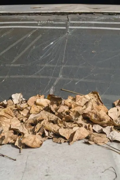 Abstract background. Detail of an old and unusable abandoned vehicle in the streets of Mexico City and covered by dry leaves falling from the trees on its body.