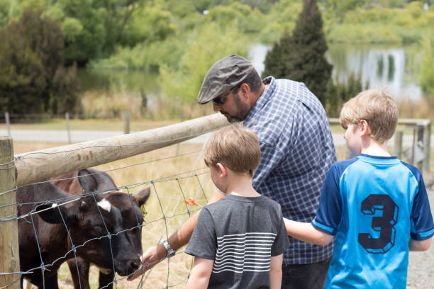 istock Boys with Grandfather feeding farm animals 905072674