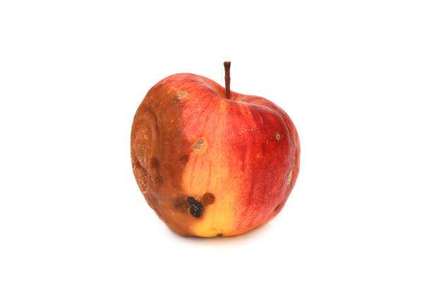 istock Red rotten apple. Natural color and texture 905076542