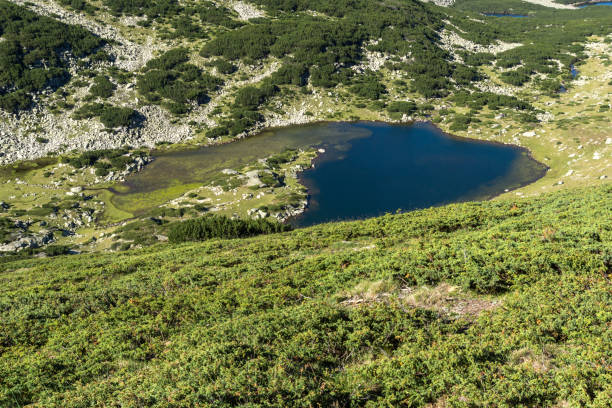 istock Landscape with Chairski lakes, Pirin Mountain, Bulgaria 905079414