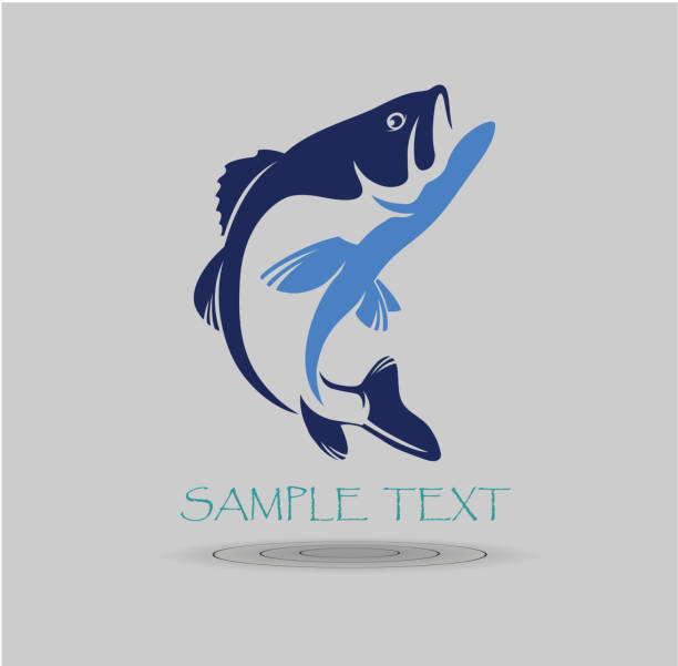 ilustraciones, imágenes clip art, dibujos animados e iconos de stock de bass peces - rockfish
