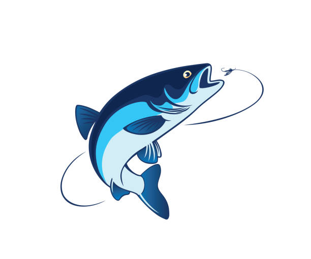ilustraciones, imágenes clip art, dibujos animados e iconos de stock de pescado chub - trucha