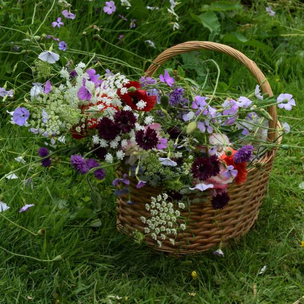 istock Basket of flowers 905094130