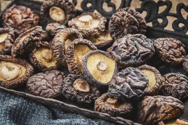 shiitake mushroom on wooden table - shiitake mushroom edible mushroom mushroom dry imagens e fotografias de stock