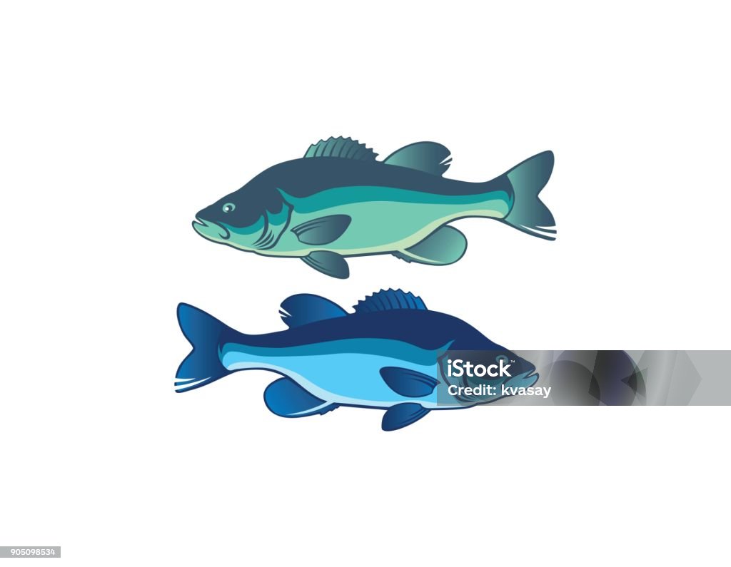 fish bass the figure shows fish bass Fishing stock vector
