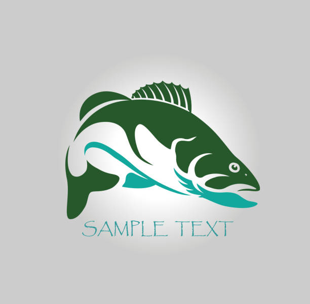 walleye fish walleye fish crappie stock illustrations