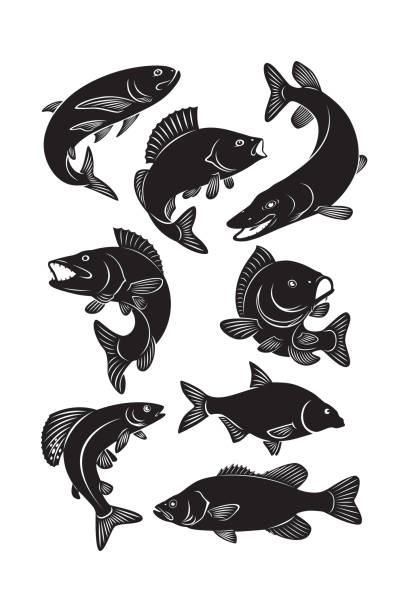 set fish The picture shows a set of river fish giant fictional character illustrations stock illustrations