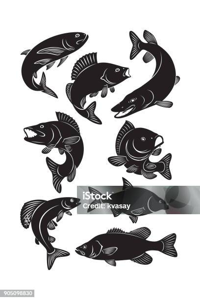 Set Fish Stock Illustration - Download Image Now - Fish, Icon Symbol, Vector