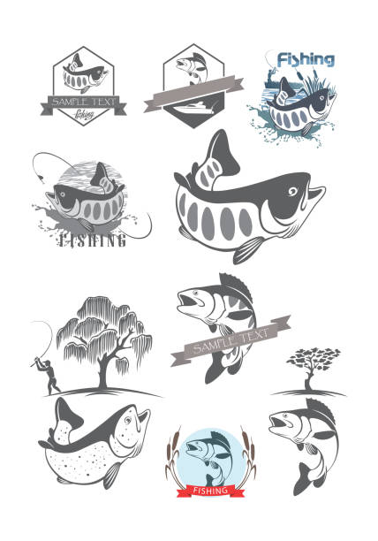 fish set trout and zander fish set crappie stock illustrations