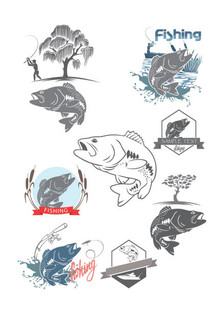 bass fishing bass fishing icons set crappie stock illustrations
