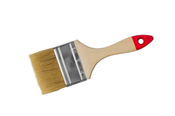 istock paint brush on a white background isolated 905102890