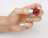 berry-himbeere-in-frauenhand.jpg?b=1&s=170x170&k=20&c=PRABqHqi_zpYTHgLD8kxPaxhRgRXd15ZVeKrGoI7OVg=