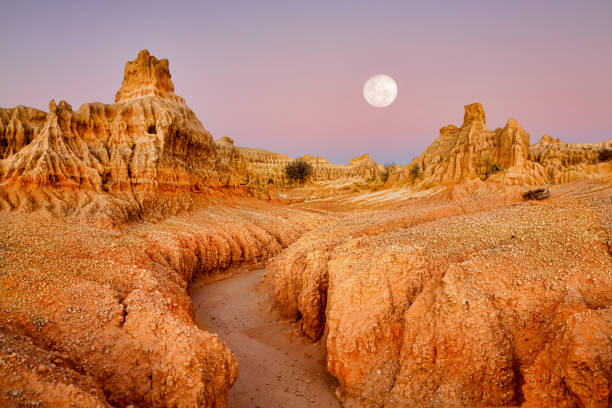 luna piena sopra l'alba del paesaggio desertico - outback foto e immagini stock