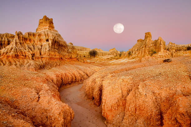 砂漠の風景の夜明けの上の満月 - outback ストックフォトと画像