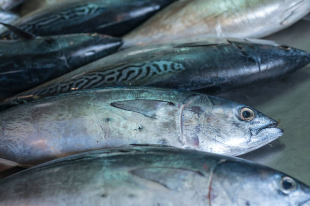 istock Fresh raw fish in market 905110008